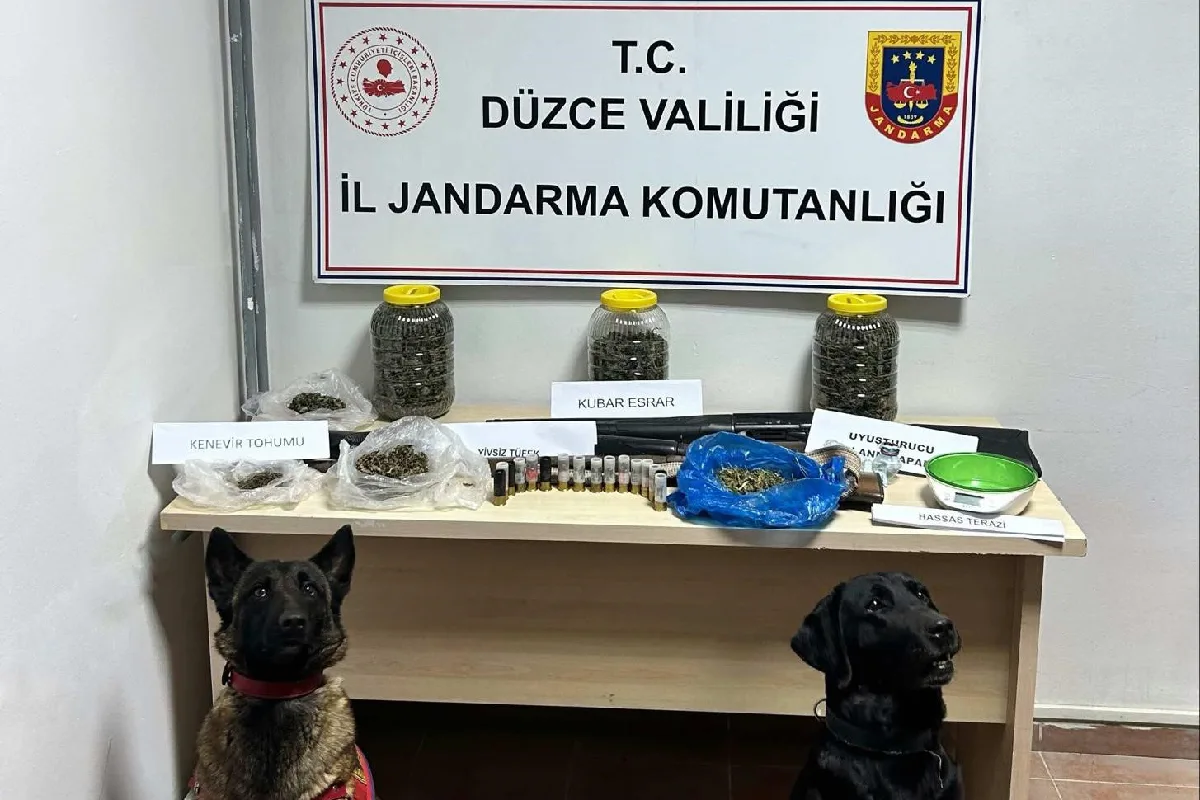 Düzce'de Jandarma Operasyonunda Uyuşturucu ve Silah Ele Geçirildi