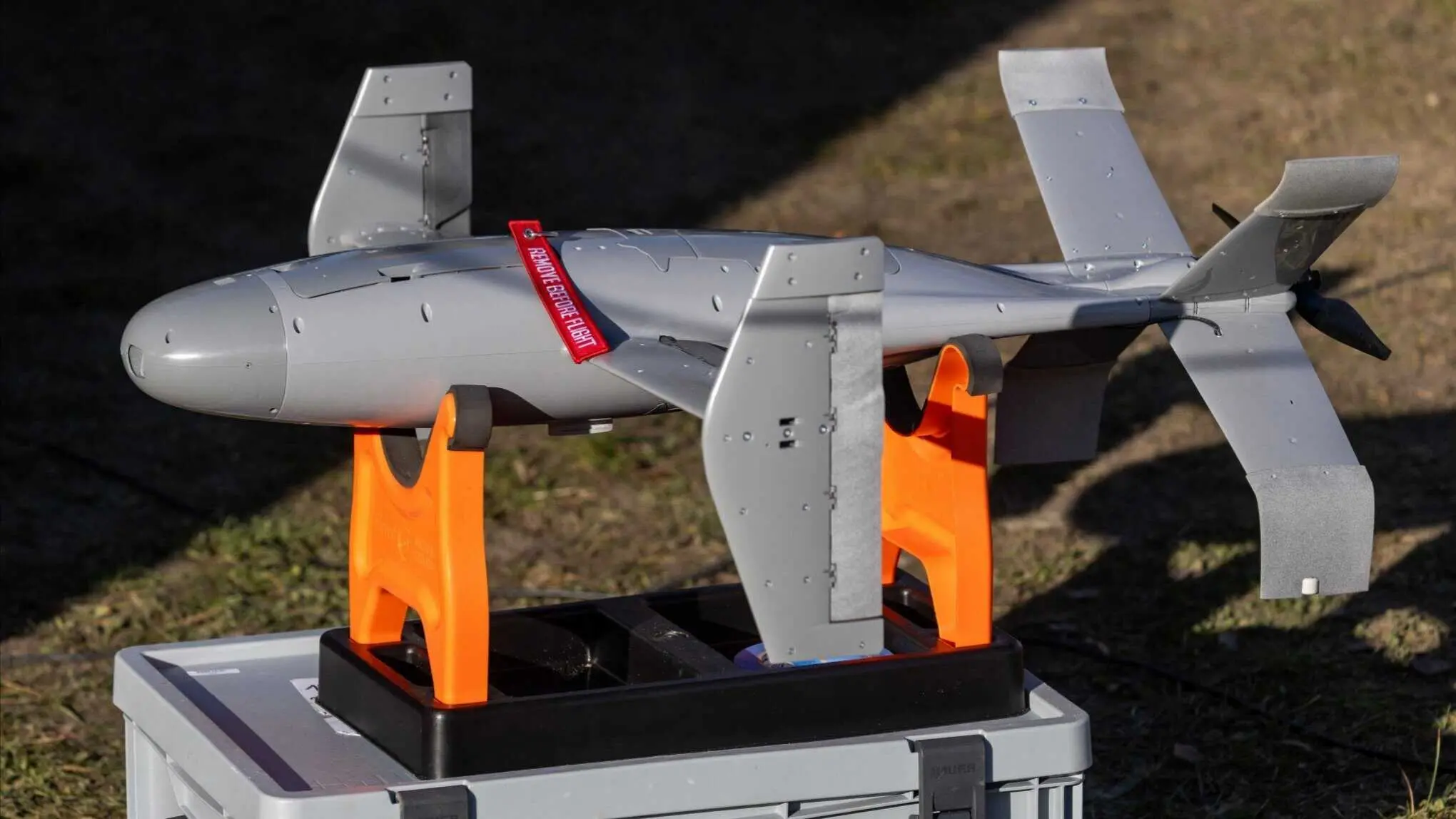 Merops