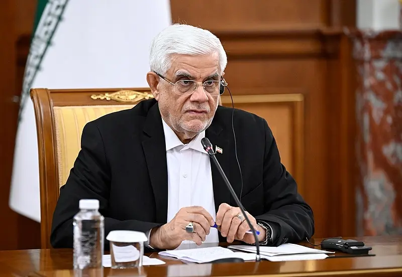 Cumhurbaşkanı Yardımcısı Muhammed Rıza Aref