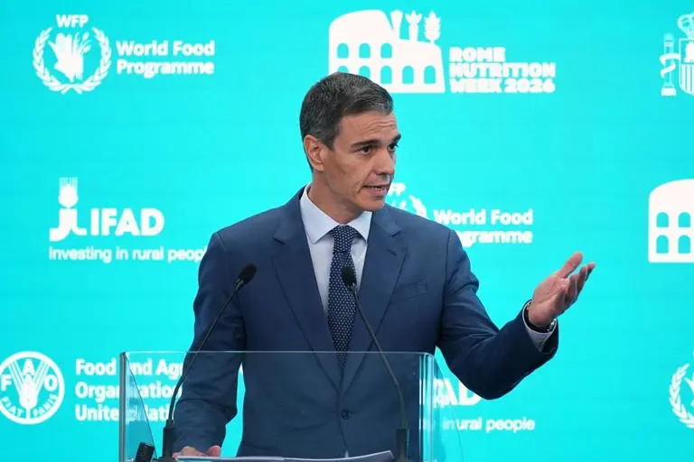 İspanya Başbakanı Pedro Sánchez, kitlesel geçişlerden insan kaçakçılığı şebekelerini ve sosyal medyada yayılan yanıltıcı bilgileri sorumlu tuttu.