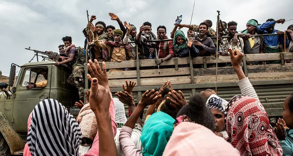 TPLF liderliği altında yaklaşık 250 bin bölgesel milis ve koruma gücü bulunuyordu. Bu geniş kitlenin içinde tam teçhizatlı, ağır eğitim almış ve doğrudan cephede aktif savaşabilecek nitelikteki elit savaşçı sayısı 30.000 ila 60.000 arasındaydı.