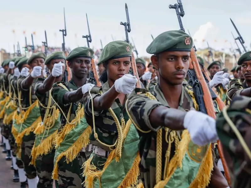 Eritre, geçmişten gelen TPLF karşıtlığı nedeniyle 2020-2022 savaşında Etiyopya federal hükümetinin yanında yer aldı. Eritre birliklerinin Tigray'daki faaliyetleri, çatışmanın uluslararası boyutunu genişletti.